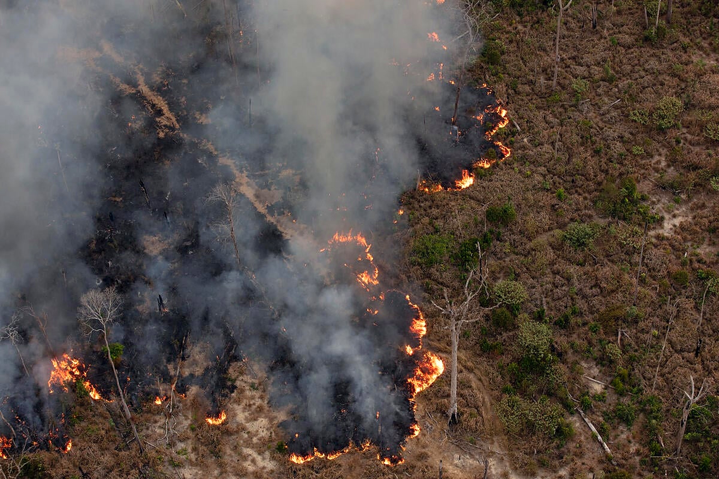 Aerial view of an active wildfire burning through forest, with flames along the fire line and heavy smoke